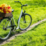 “Я буду долго гнать велосипед…” Кому мечтал подарить цветы поэт Николай Рубцов?