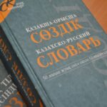 Какой статус русский язык имеет в странах бывшего СССР?